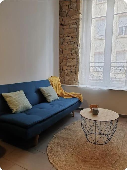 P'Tit Canut : Studio Tout Equipe Proche Centre Et Gare 里昂 外观 照片